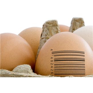 A leggyakoribb kérdések a tojásallergiáról