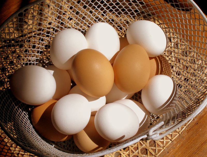 tojásra kaparva férgek Irkutszk a szükséges férgek ellen